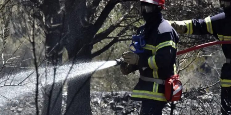 Francia envía bomberos a Bolivia por incendios forestales