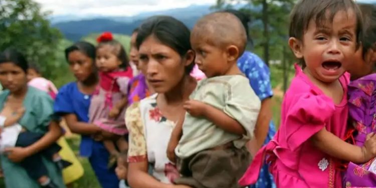 Frente parlamentario contra el hambre revela cifras alarmantes: 68 menores fallecidos por desnutrición en 2023