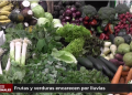 Frutas y verduras presentan incremento en sus precios debido a lluvias