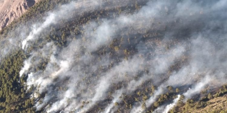 Fuertes erupción provocó un incendio forestal en las faldas del Volcán de fuego