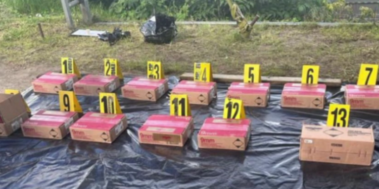 Fuerzas de seguridad capturan a un conductor que portaba cargamento de municiones