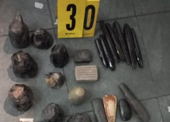 Fuerzas de seguridad localizan 1,200 piezas arqueológicas en la casa de una ciudadana estadounidense