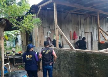 Fuerzas de seguridad realizan allanamientos en Izabal