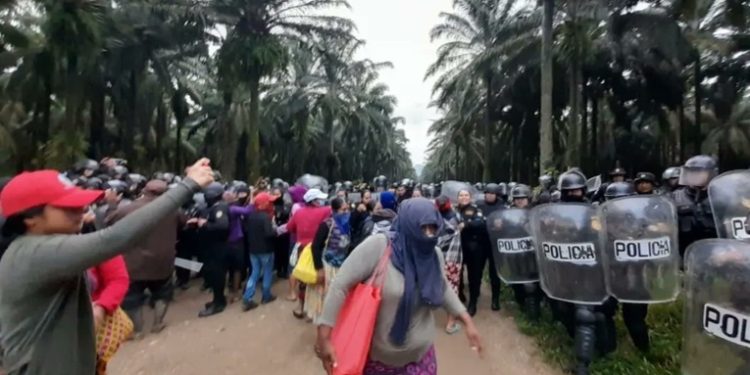 Fuerzas de seguridad reportan enfrentamiento durante operativo en El Estor, Izabal