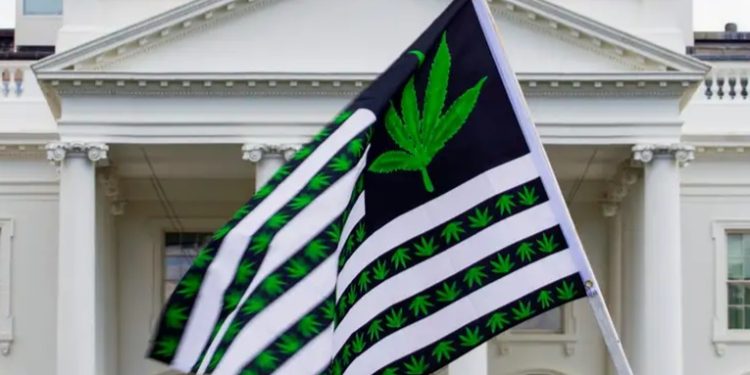 Gobierno de EE. UU. pidió reclasificar a la marihuana