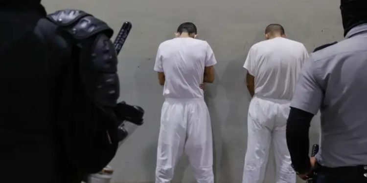 Gobierno de El Salvador: 75% de pandilleros está detenido