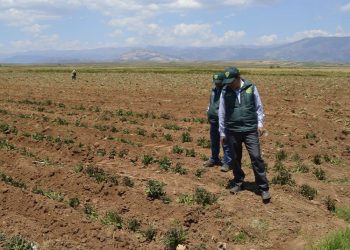 Gobierno de Guatemala inicia distribución del Bono Campesino