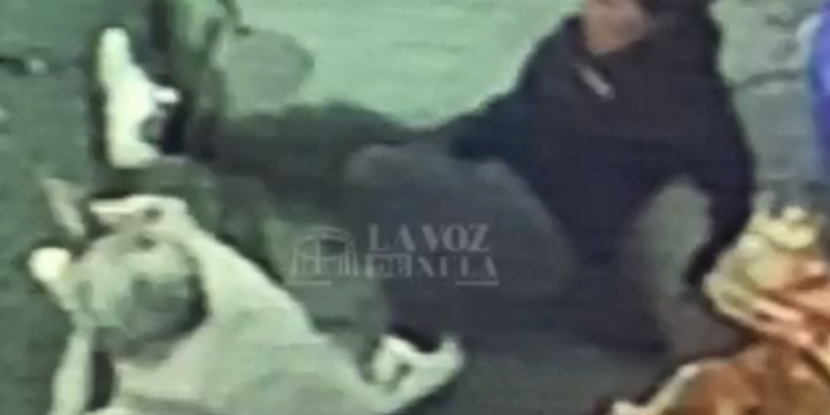 Graban a mujer que agrede a señora de la tercera edad