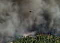 Grecia evacúa la ciudad de Maratón ante incendios forestales