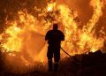Grecia investiga si una organización criminal provocó incendios