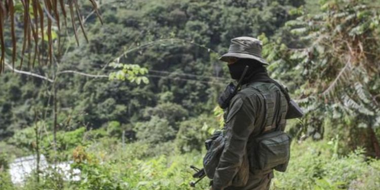 Grupos armados se enfrentan en Colombia y dejan 18 muertos