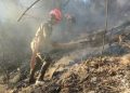 Guatemala: Congreso frena estado de calamidad por incendios