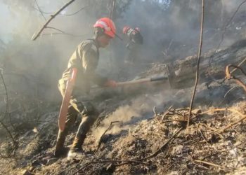 Guatemala: Congreso frena estado de calamidad por incendios