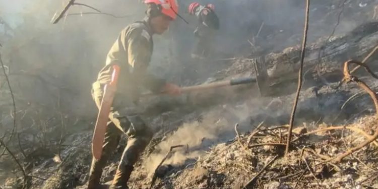 Guatemala: Congreso frena estado de calamidad por incendios