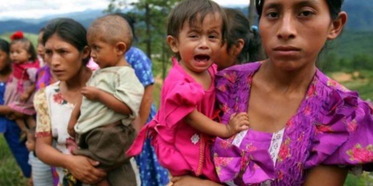 Guatemala es incluida dentro de la Alerta de la ONU sobre el hambre extrema en el mundo
