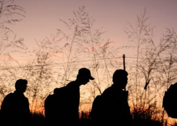 Guatemala promoverá persecución penal en contra de coyotes