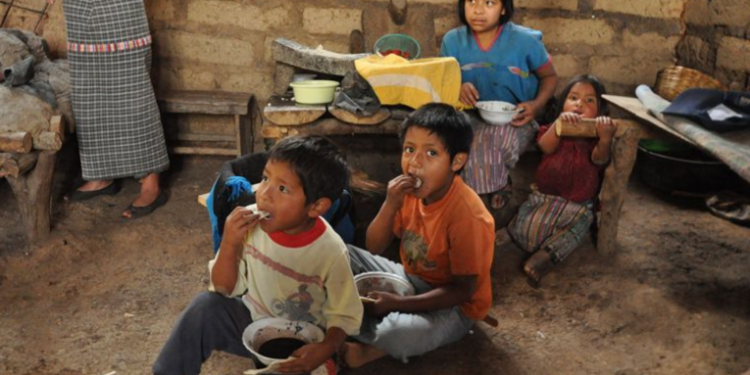 Guatemala vive un alto porcentaje de desnutrición en niños menores de 5 años.