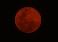 Guatemaltecos admiraron la impresionante Luna Sangrienta en el cielo