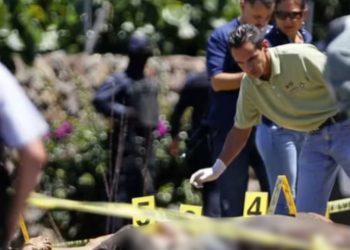 Guatemaltecos entre los 19 Fallecidos en Conflicto entre Cárteles en la Frontera Sur, Dice AMLO