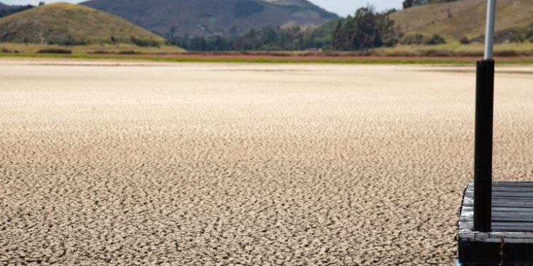 Guterres: Estamos viviendo un colapso climático en tiempo real y el impacto es devastador
