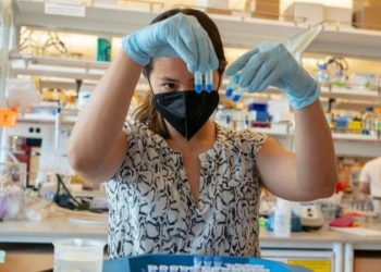 Hallan anticuerpo que podrí­a combatir todas las cepas del coronavirus