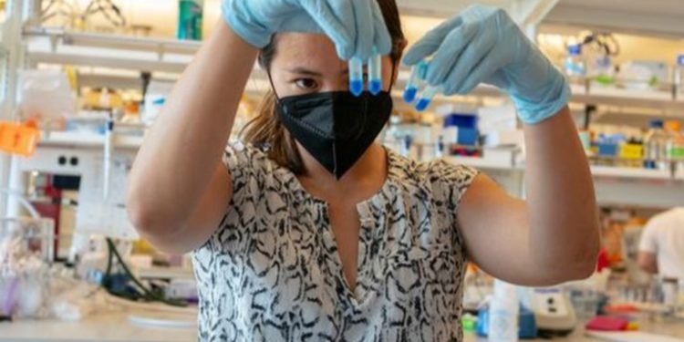 Hallan anticuerpo que podría combatir todas las cepas del coronavirus