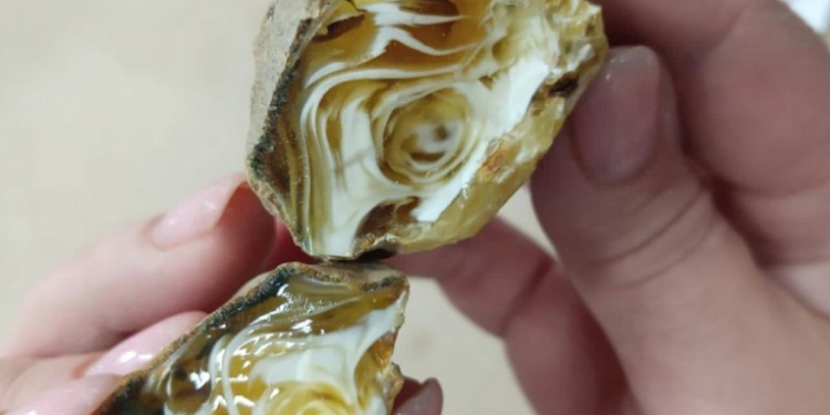 Hallan en Rusia un raro ámbar sonriente