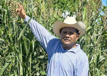 Hallan los cuerpos desmembrados de un político y su esposa en Acapulco