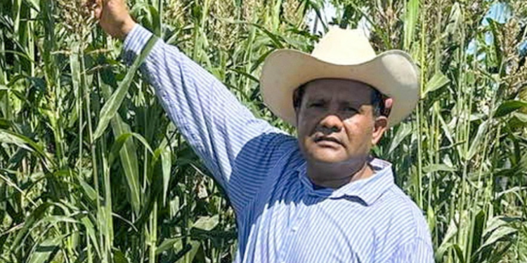 Hallan los cuerpos desmembrados de un político y su esposa en Acapulco