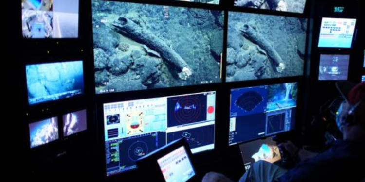 Hallan un colmillo de mamut en las profundidades del océano Pací­fico