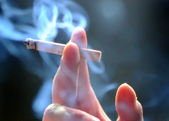 Hallan vínculo entre materia gris y tabaquismo en jóvenes