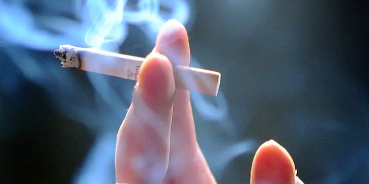 Hallan vínculo entre materia gris y tabaquismo en jóvenes