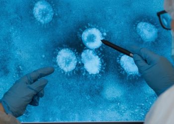 Hallan virus gigantes en el lugar más profundo del océano