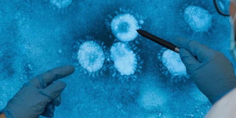 Hallan virus gigantes en el lugar más profundo del océano