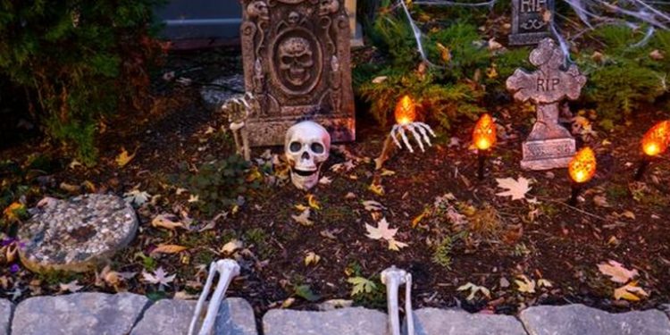 Halloween: más que una noche de horror