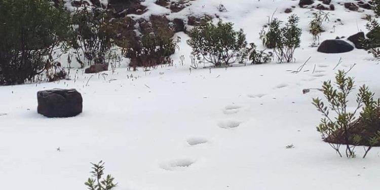 Helada en Tacaná, San Marcos