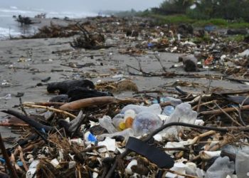Honduras denunciarí­a a Guatemala por daño ambiental en el Caribe
