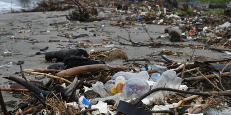 Honduras denunciaría a Guatemala por daño ambiental en el Caribe