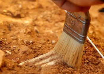 Honduras: exhuman osamentas de fosas en San Pedro Sula