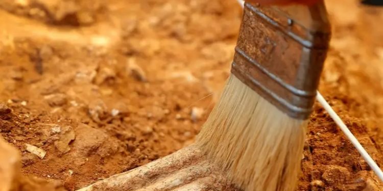 Honduras: exhuman osamentas de fosas en San Pedro Sula