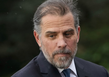 Hunter Biden se hace el pobre para reducir la pensión de alimentos de su hija de cuatro años