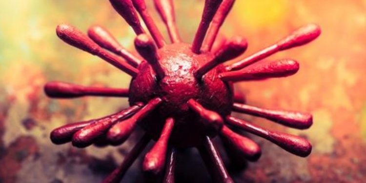 Identifican en Sudáfrica nueva variante del coronavirus con â€œmúltiples mutacionesâ€