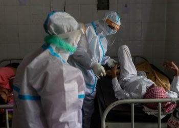 Identifican la posible causa del reciente brote de una fiebre viral mortal en la India