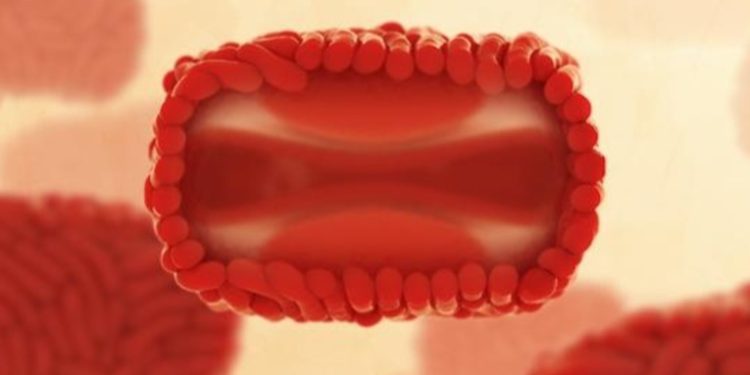 Identifican una nueva forma severa de la viruela del mono con alta mortalidad