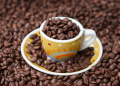 Implementan estrategia para enaltecer el café de nuestro país
