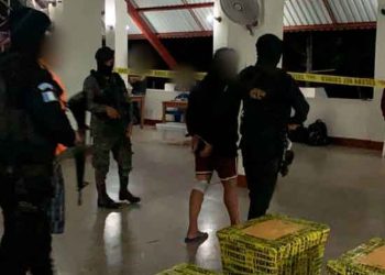 Importante decomiso de cocaína: 248 paquetes incautados en operativo marítimo