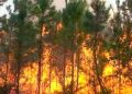 Inab presenta campañas contra incendios
