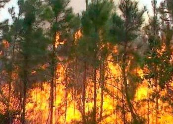 Inab presenta campañas contra incendios