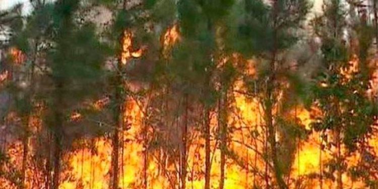 Inab presenta campañas contra incendios