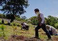 INAB registra 37 hectáreas reforestadas en dos semanas